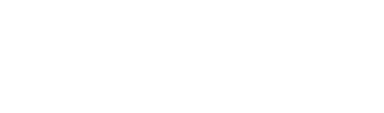 Longevity Planning: Plan, Protect, Care, Thrive, Share