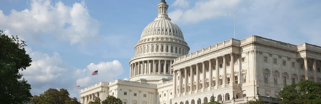 Tariff policy: potential paths and endgames